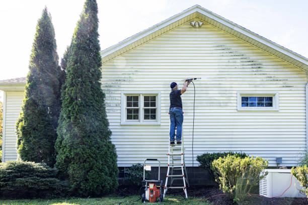 Best Gutter Cleaning  in Benson, NC